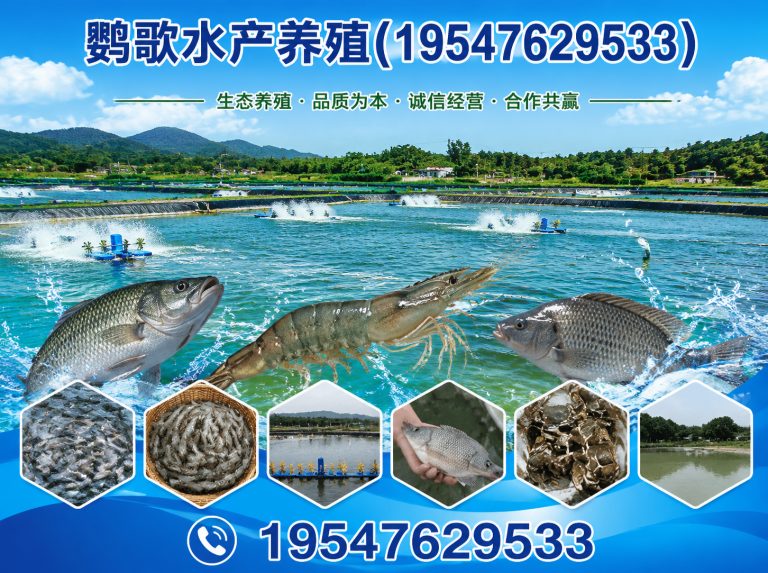 金堂县鹦歌水产养殖展示图